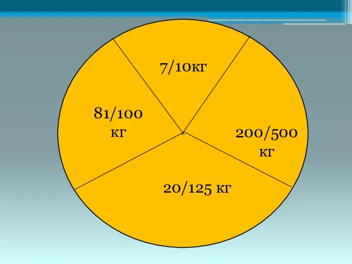 7/10кг 81/100 кг 200/500 кг 20/125 кг