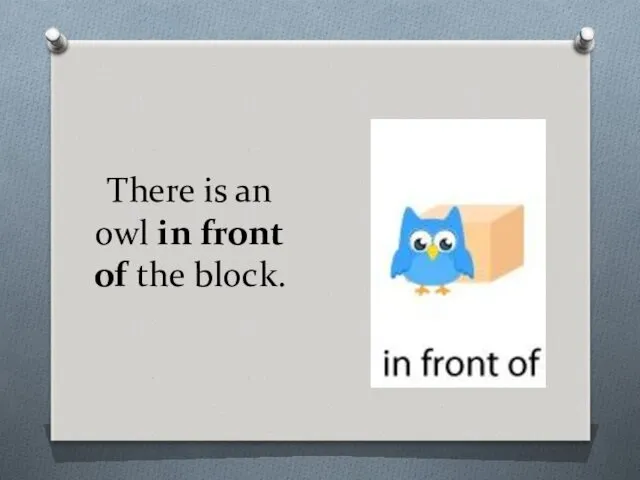 There is an owl in front of the block.