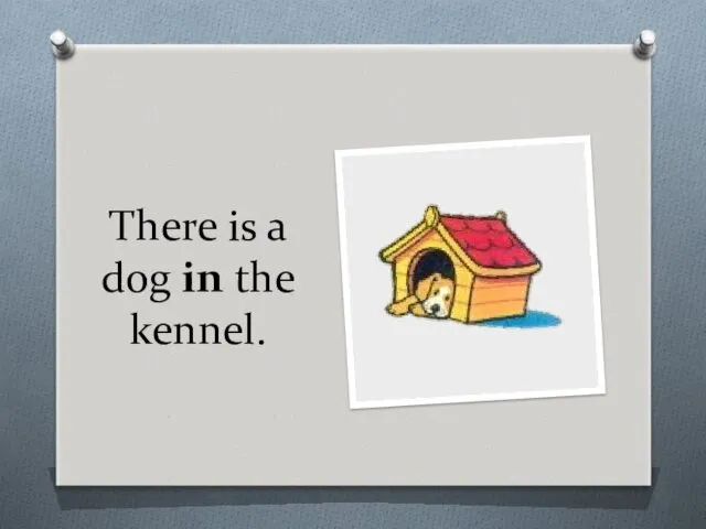 There is a dog in the kennel.