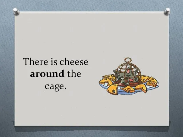 There is cheese around the cage.