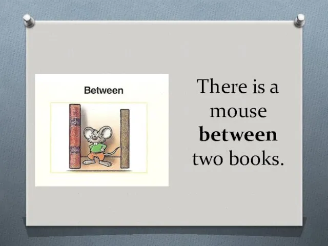 There is a mouse between two books.