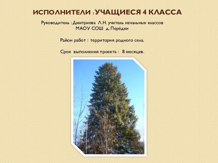 Исполнители : учащиеся 4 класса Руководитель : Дмитриева Л.Н. учитель начальных классов МАОУ