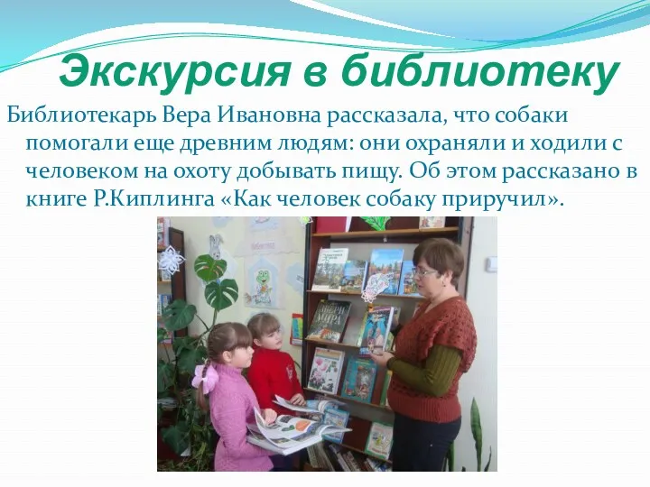 Экскурсия в библиотеку Библиотекарь Вера Ивановна рассказала, что собаки помогали