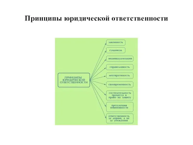 Принципы юридической ответственности