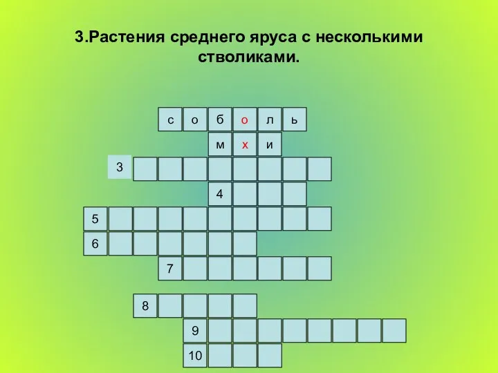 3.Растения среднего яруса с несколькими стволиками. ь л о б