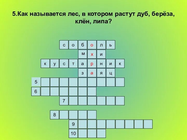 5.Как называется лес, в котором растут дуб, берёза, клён, липа?