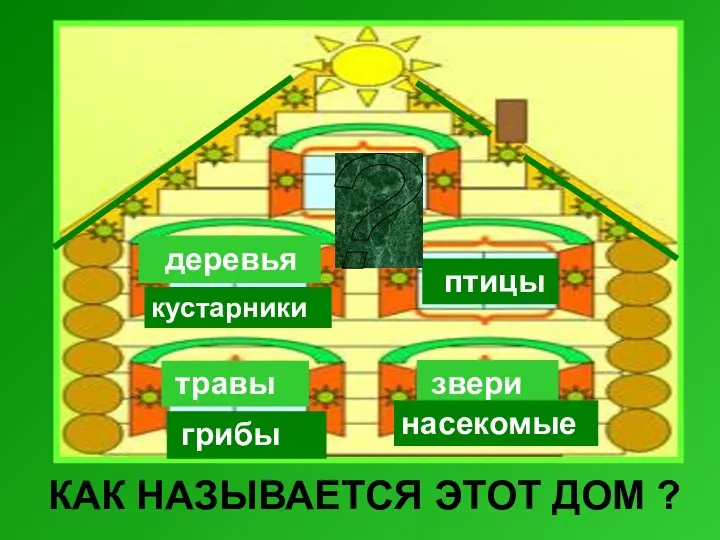 деревья кустарники травы грибы птицы звери насекомые ? КАК НАЗЫВАЕТСЯ ЭТОТ ДОМ ?