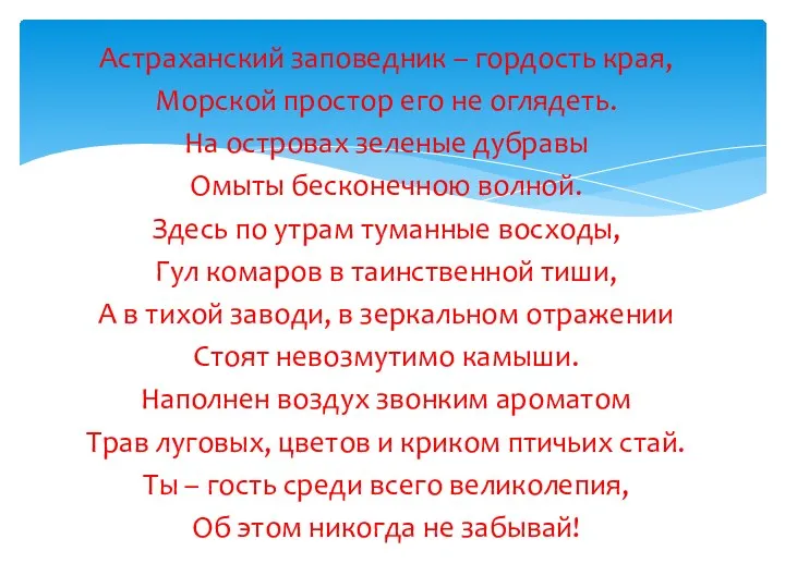 Астраханский заповедник – гордость края, Морской простор его не оглядеть.