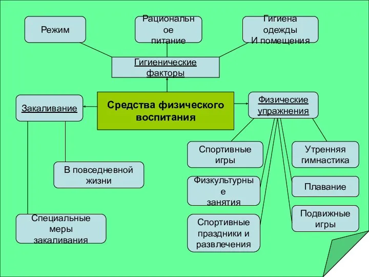 Средства физического воспитания Гигиенические факторы Режим Рациональное питание Гигиена одежды