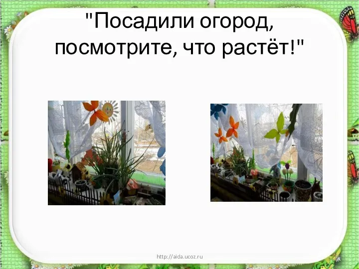 "Посадили огород, посмотрите, что растёт!" * http://aida.ucoz.ru
