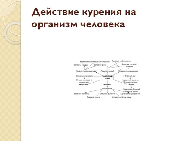 Действие курения на организм человека