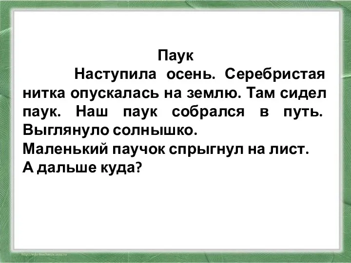 Паук Наступила осень. Серебристая нитка опускалась на землю. Там сидел