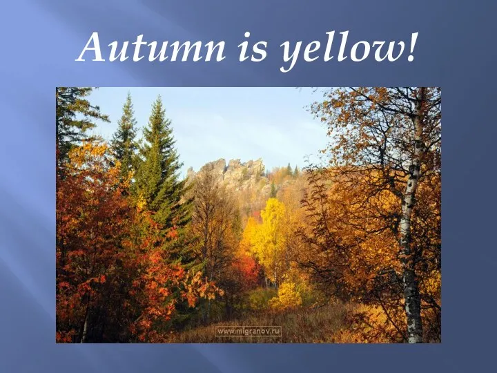 Autumn is yellow!