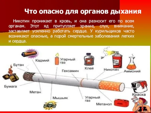 Что опасно для органов дыхания Никотин проникает в кровь, и