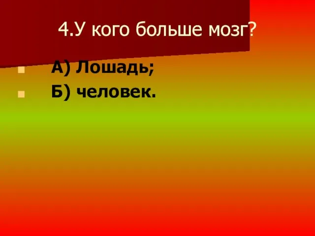 4.У кого больше мозг? А) Лошадь; Б) человек.