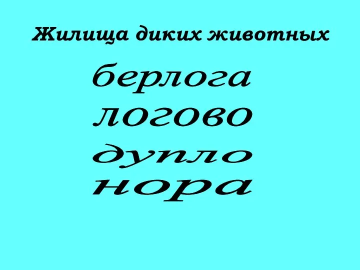 Жилища диких животных берлога логово дупло нора