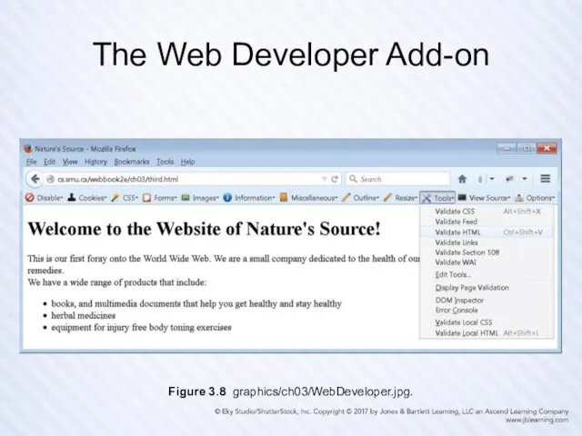 The Web Developer Add-on Figure 3.8 graphics/ch03/WebDeveloper.jpg.