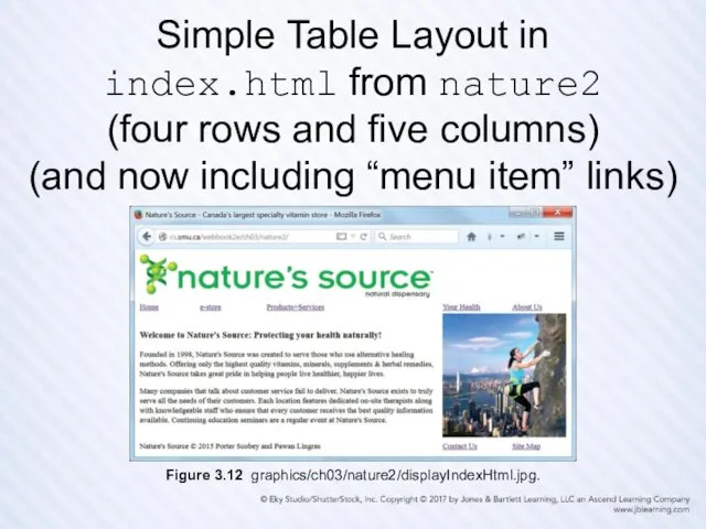 Simple Table Layout in index.html from nature2 (four rows and