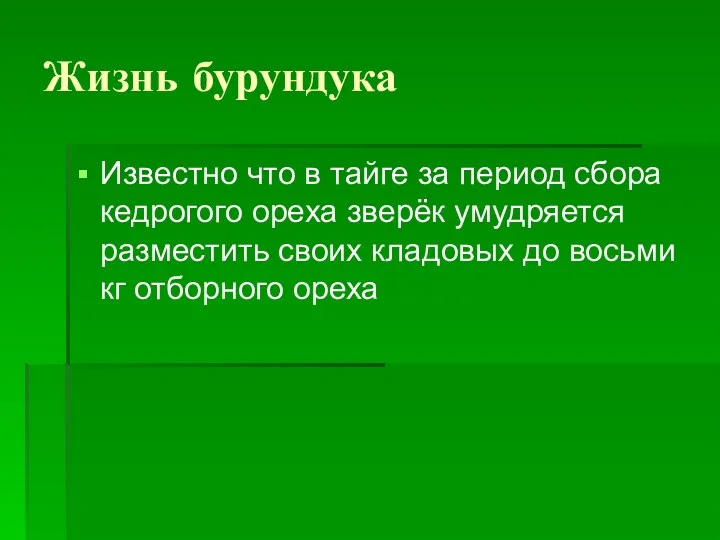 Жизнь бурундука Известно что в тайге за период сбора кедрогого