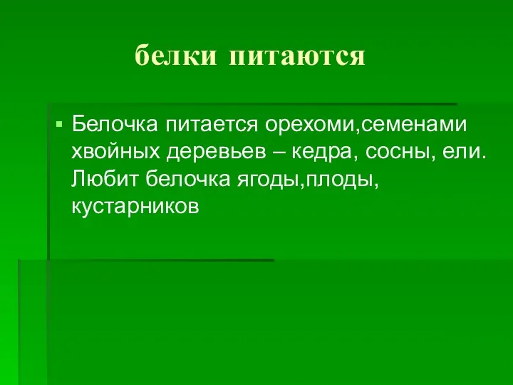 белки питаются Белочка питается орехоми,семенами хвойных деревьев – кедра, сосны, ели.Любит белочка ягоды,плоды,кустарников