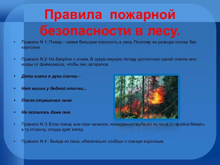 Правила пожарной безопасности в лесу. Правило N 1: Пожар -