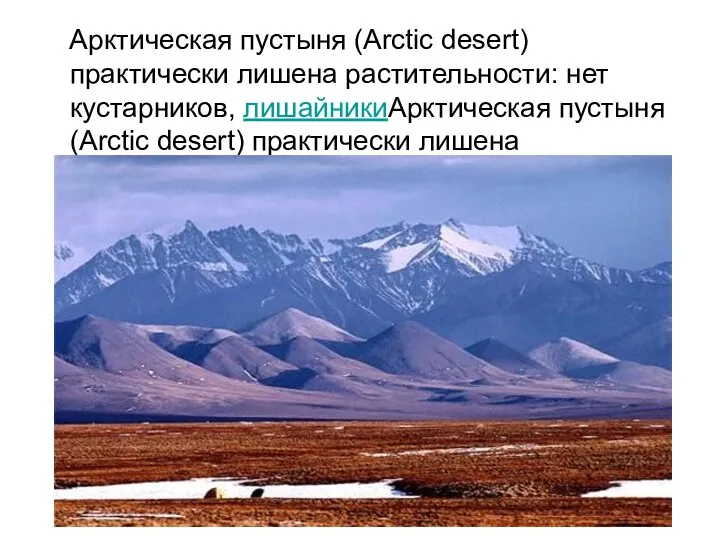 Арктическая пустыня (Arctic desert) практически лишена растительности: нет кустарников, лишайникиАрктическая