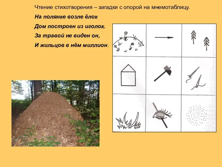 Чтение стихотворения – загадки с опорой на мнемотаблицу. На полянке