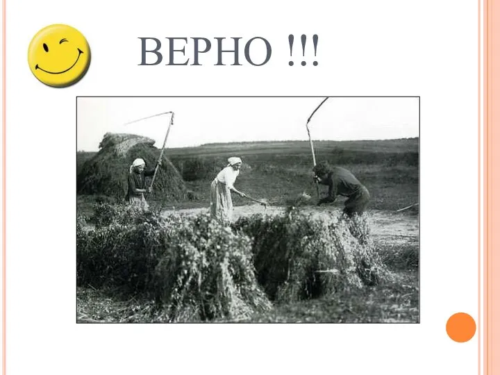 ВЕРНО !!!