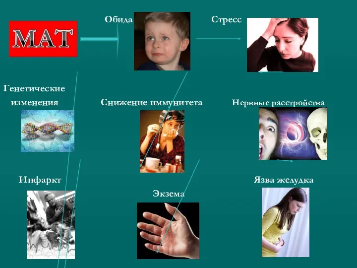 Обида Стресс Генетические изменения Снижение иммунитета Нервные расстройства Инфаркт Язва желудка Экзема