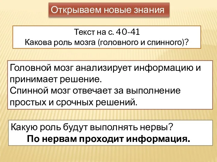 Открываем новые знания Текст на с. 40-41 Какова роль мозга (головного и спинного)?