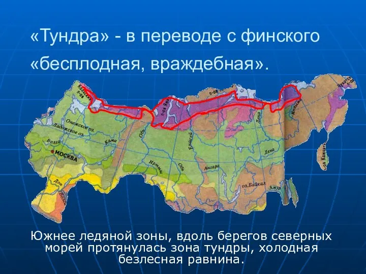 «Тундра» - в переводе с финского «бесплодная, враждебная». Южнее ледяной