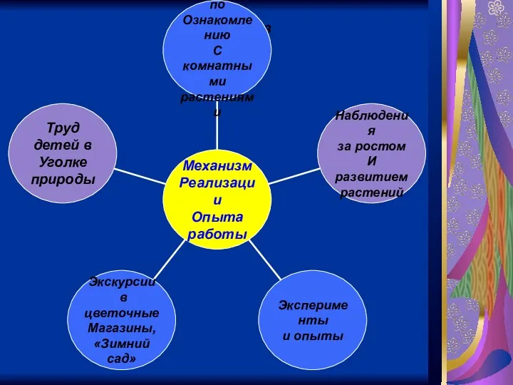 Труд детей в Уголке природы