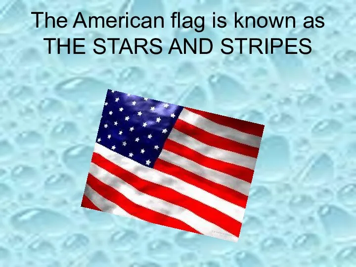 The American flag is known as THE STARS AND STRIPES