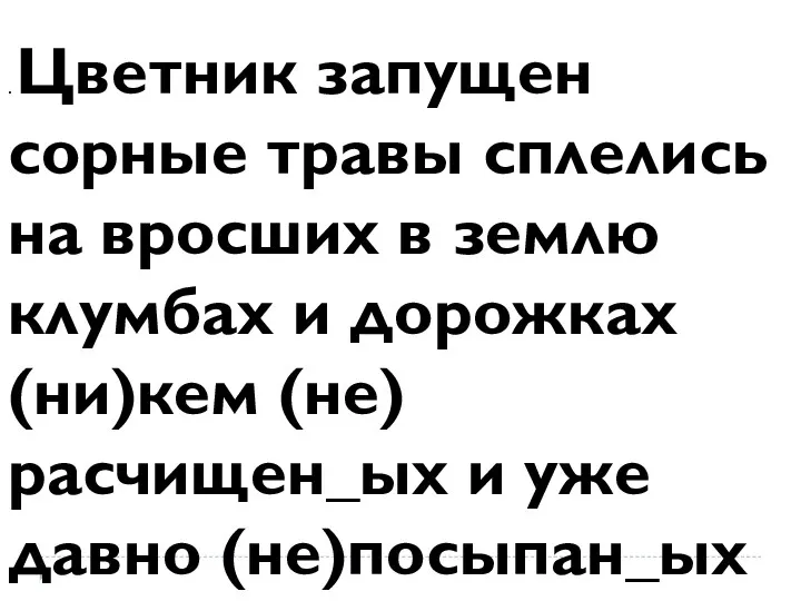 . Цветник запущен сорные травы сплелись на вросших в землю