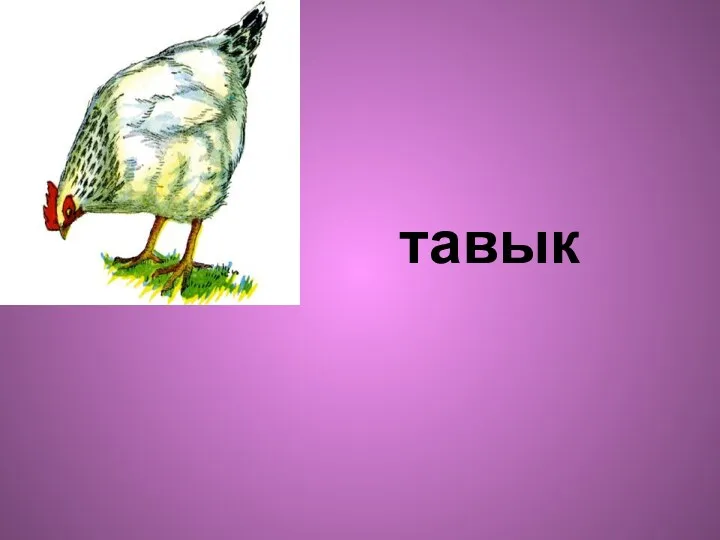 тавык