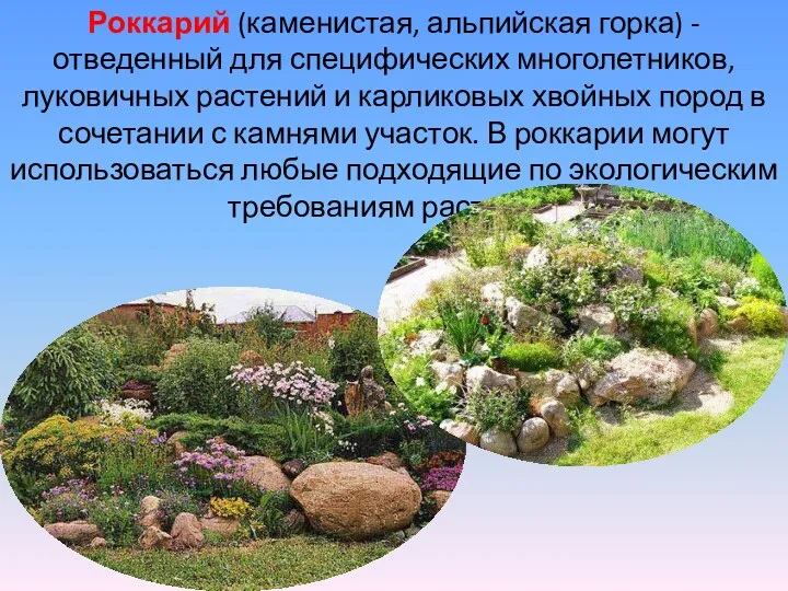 Роккарий (каменистая, альпийская горка) - отведенный для специфических многолетников, луковичных растений и карликовых