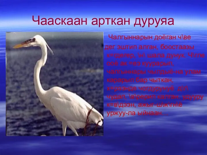 Чааскаан арткан дуруяа Чалгыннарын доёган ч\ве дег эштип алган, боостаазы