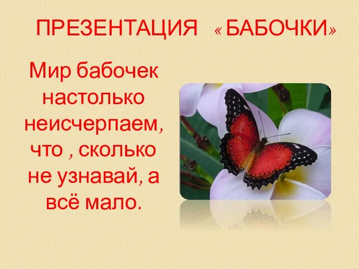 Презентация « Бабочки» Мир бабочек настолько неисчерпаем, что , сколько не узнавай, а всё мало.