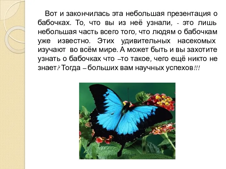 Вот и закончилась эта небольшая презентация о бабочках. То, что вы из неё