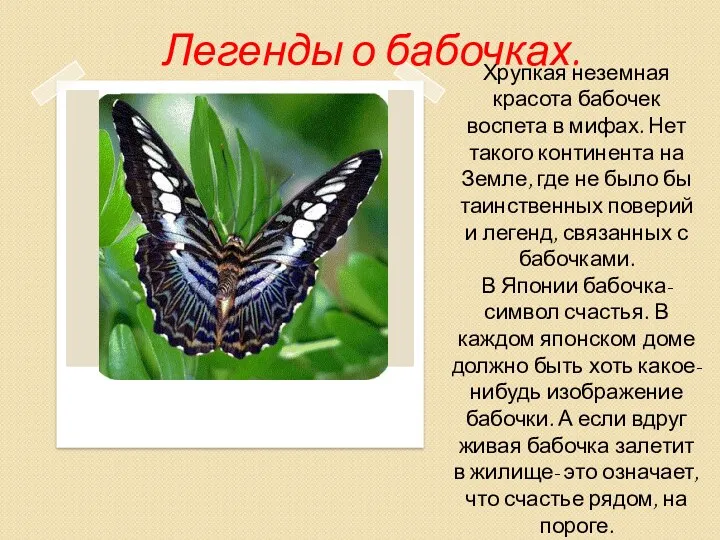 Легенды о бабочках. Хрупкая неземная красота бабочек воспета в мифах. Нет такого континента