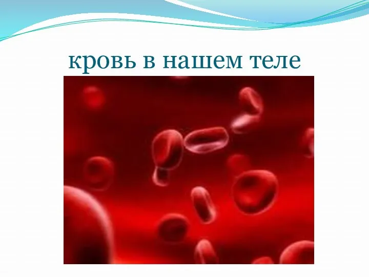 кровь в нашем теле
