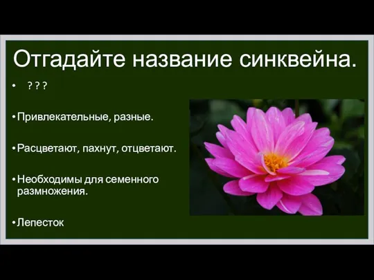 Отгадайте название синквейна. ? ? ? Привлекательные, разные. Расцветают, пахнут, отцветают. Необходимы для семенного размножения. Лепесток