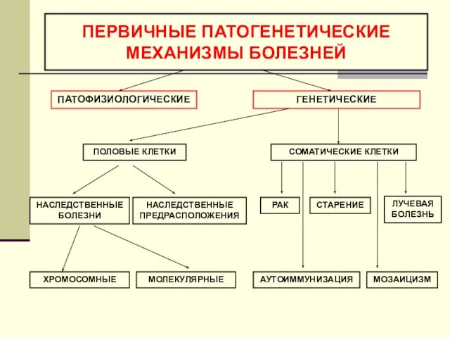 ПЕРВИЧНЫЕ ПАТОГЕНЕТИЧЕСКИЕ МЕХАНИЗМЫ БОЛЕЗНЕЙ