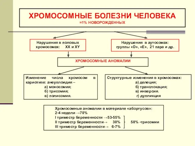 ХРОМОСОМНЫЕ БОЛЕЗНИ ЧЕЛОВЕКА ≈1% НОВОРОЖДЕННЫХ