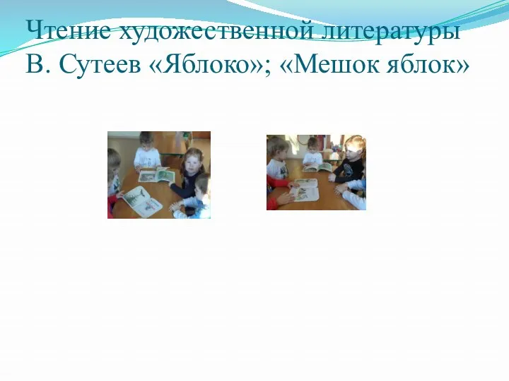 Чтение художественной литературы В. Сутеев «Яблоко»; «Мешок яблок»