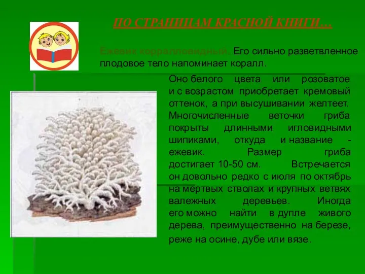 Оно белого цвета или розоватое и с возрастом приобретает кремовый