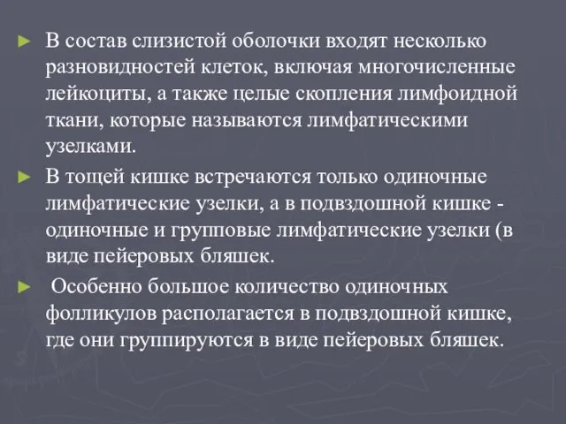 В состав слизистой оболочки входят несколько разновидностей клеток, включая многочисленные