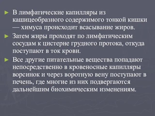 В лимфатические капилляры из кашицеобразного содержимого тонкой кишки — химуса