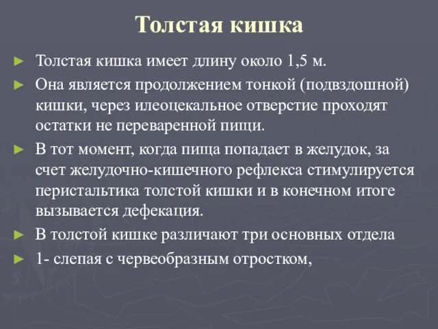 Толстая кишка Толстая кишка имеет длину около 1,5 м. Она