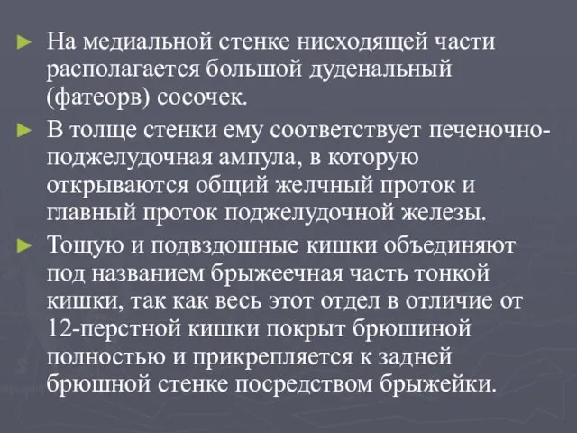 На медиальной стенке нисходящей части располагается большой дуденальный (фатеорв) сосочек.